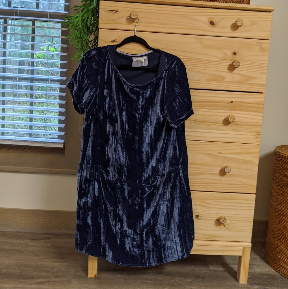 Blue crushed velvet dress